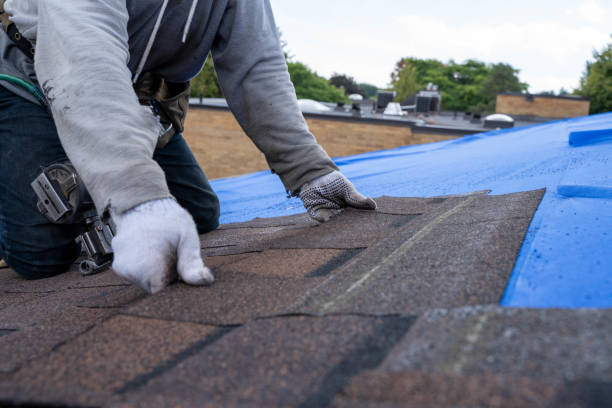 Best Roof Replacement Cost  in Dresden, OH