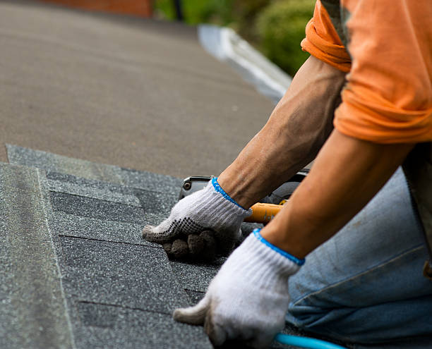 Best Emergency Roof Repair  in Dresden, OH
