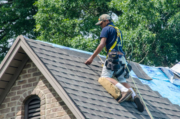 Best Emergency Roof Repair  in Dresden, OH