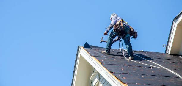 Best Roof Repair Services  in Dresden, OH